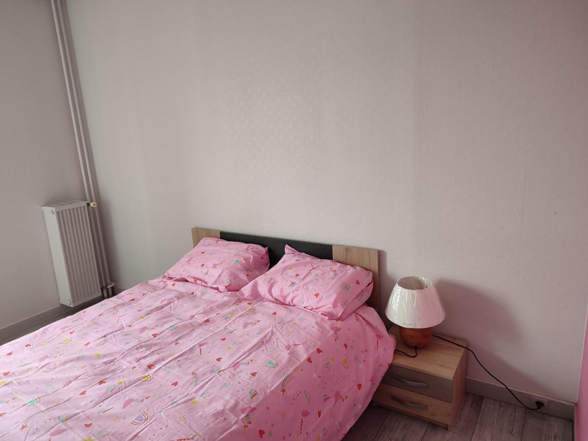 Grand Et Superbe Appartement Proche Paris Creil Eksteriør bilde
